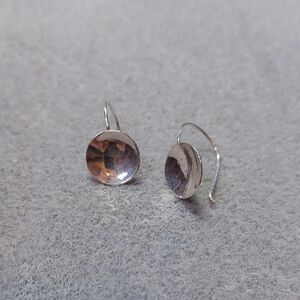 Elegant Silver Earrings